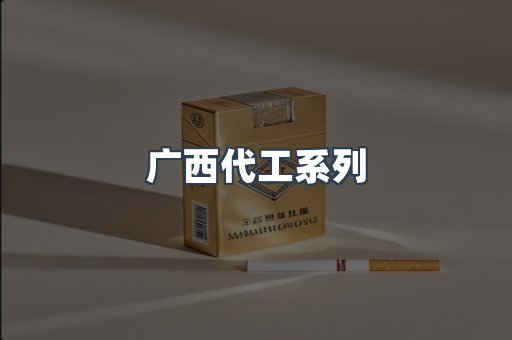 广西代工系列